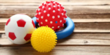 How Can You Find Affordable and Safe Dog Toys?